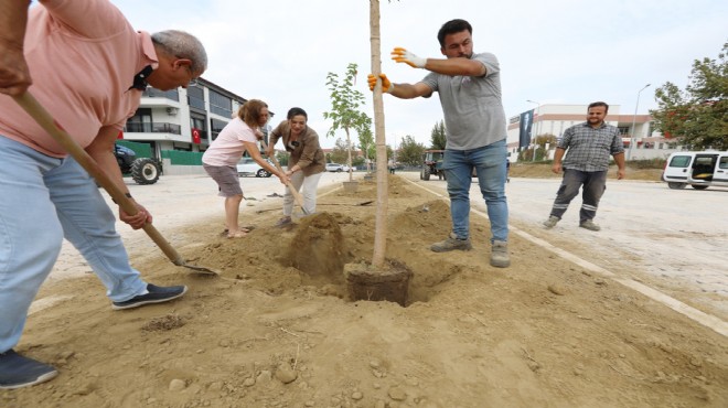 Başkan Sengel sahaya indi... Yerinde inceledi