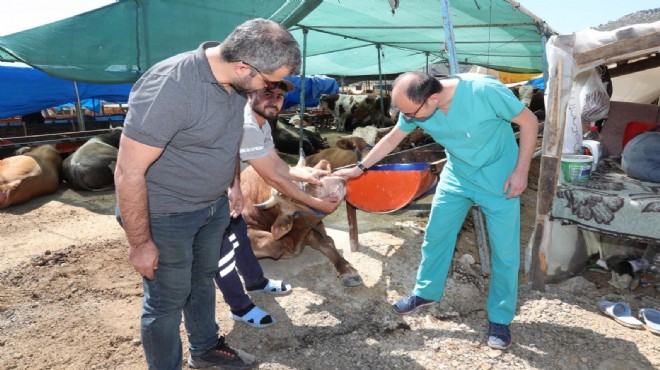 Bayraklı Belediyesi, Kurban Bayramı'na hazır