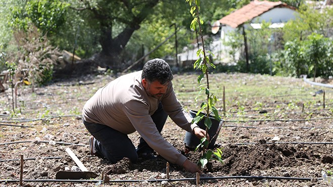 Belediye el attı: Bornova'da tarlada ürün kalmayacak