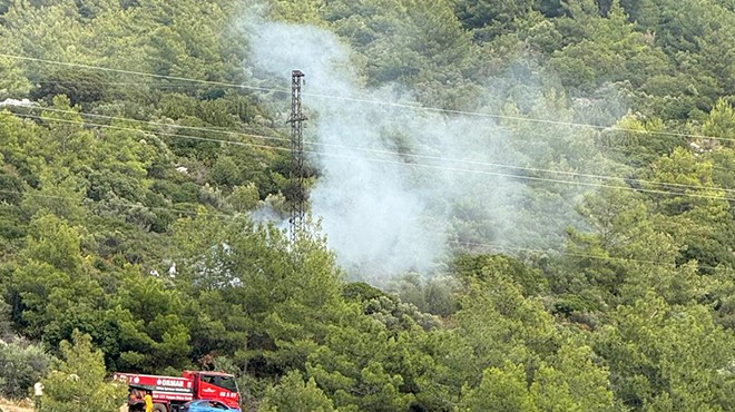 Bodrum’da ormanda çıkan yangın büyümeden söndürüldü