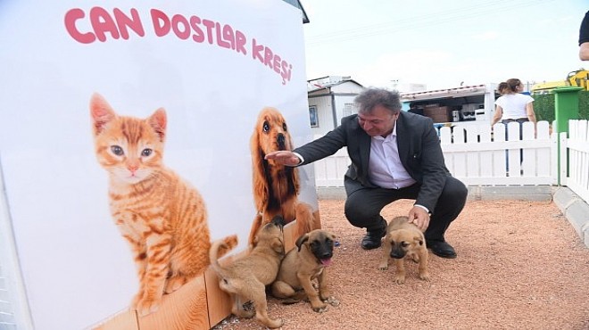 Bornova Belediyesi'nden 'can dost' açıklaması!