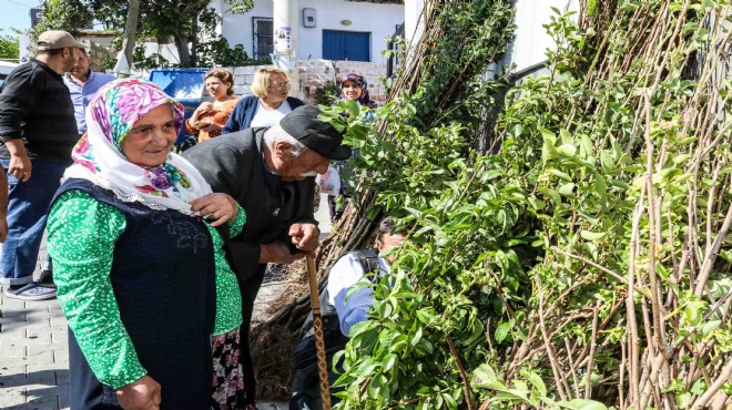 Buca Belediyesi’nden üreticiye fidan desteği