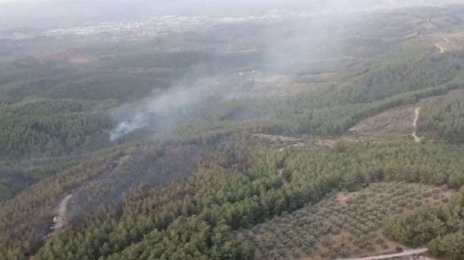 İzmir'deki orman yangını kontrol altına alındı