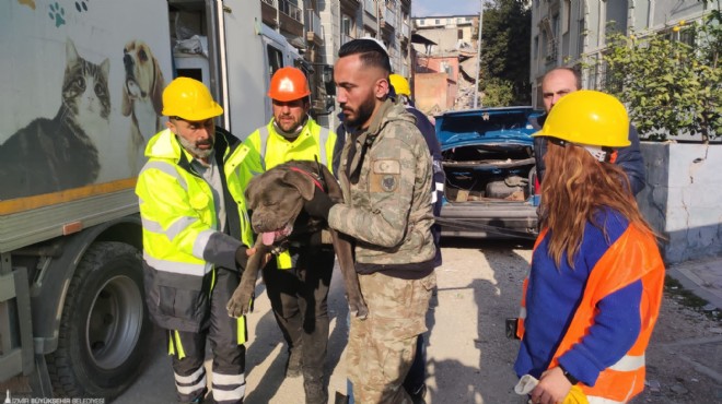 Büyükşehir afetzede can dostları unutmadı!