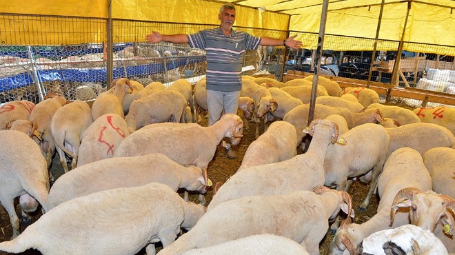 Büyükşehir'den Kurban Bayramı için bağış kampanyası