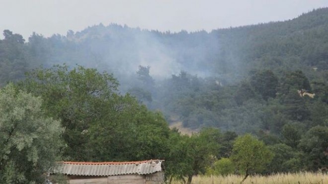 Çanakkale'de yıldırım düştü; Orman yangını çıktı