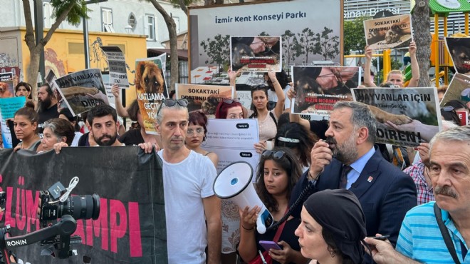 CHP İzmir'den hayvan hakları eylemlerine destek