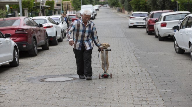 Dede-torun gibiler... Skuterle gezdirip, salıncağa bindiriyor