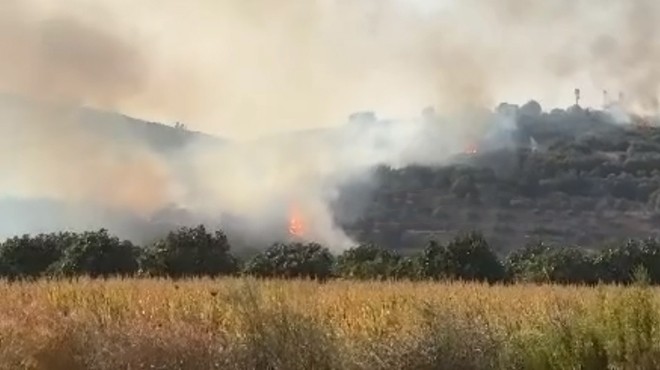 İzmir'de korkutan yangın!