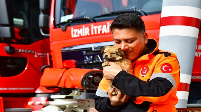 Enkazdan çıktı.... Yeni yuvasına kavuştu!