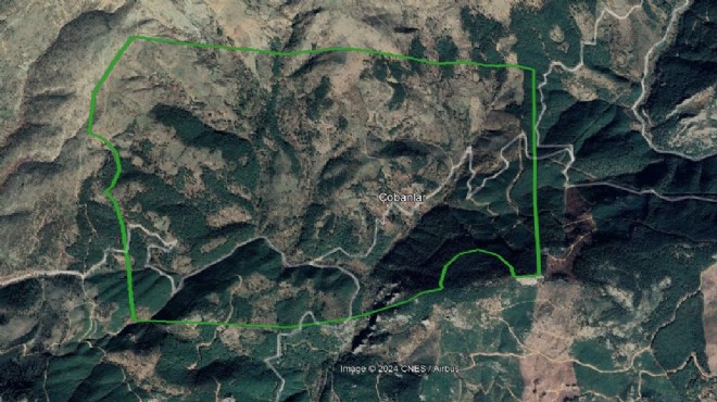 Madra Dağı'na zehir kuşatması… Sıra Bergama'da!