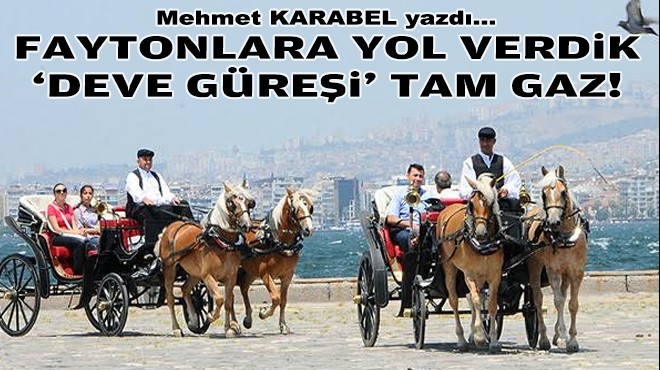 Mehmet KARABEL yazdı... Faytonlara yol verdik 'deve güreşi' tam gaz!