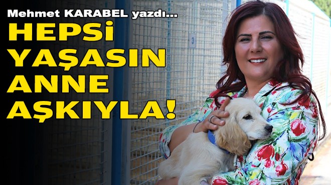 Mehmet KARABEL yazdı... Hepsi yaşasın anne aşkıyla!