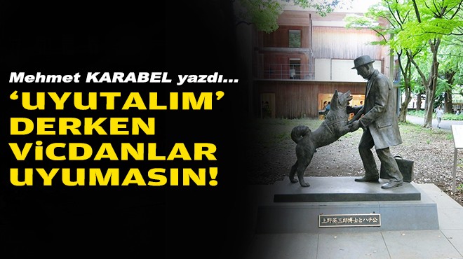 Mehmet KARABEL yazdı... ‘Uyutalım' derken vicdanlar uyumasın!