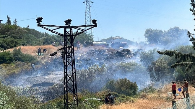 Milas'ta makilik yangını söndürüldü