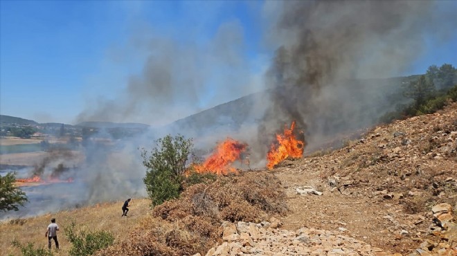 Muğla'daki yangın ormana sıçramadan söndürüldü