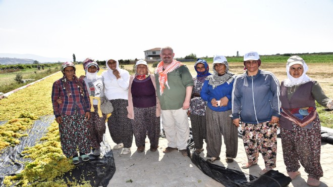 Başkan vekili Pehlivan'dan 8 Mart mesajı