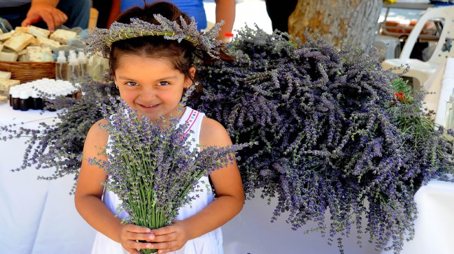 Seferihisar'da 'lavanta' şenliğine geri sayım!