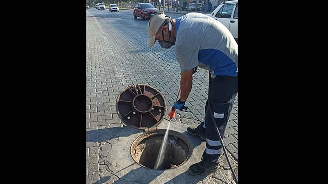 Selçuk'ta haşere sorunu ile mücadele