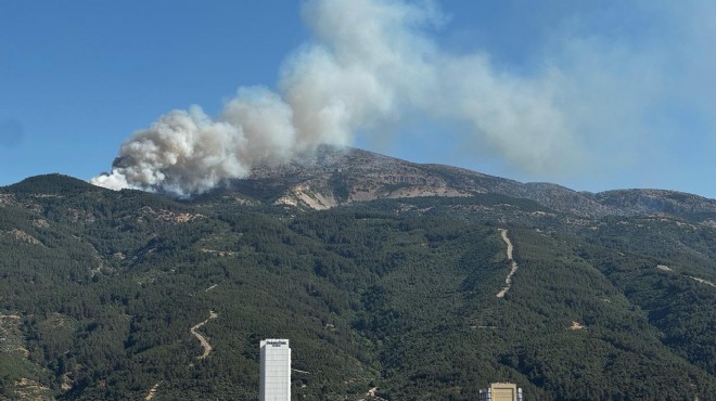 Spil Dağı'nda korkutan orman yangını!