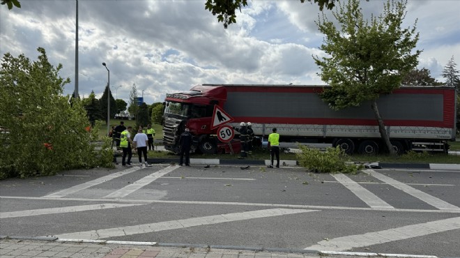 TIR ağaca çarparak devrildi... Sürücüsü yaralandı