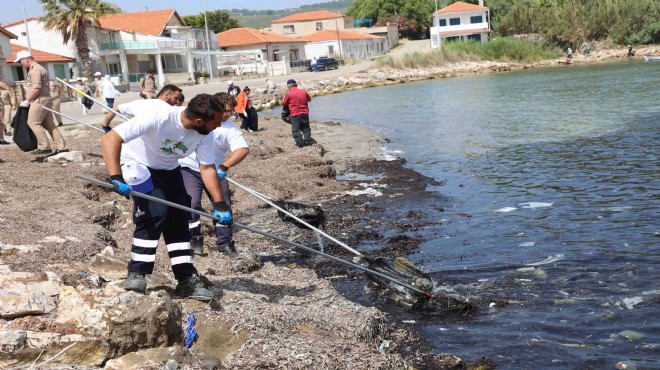 Urla'nın kıyılarında temizlik seferberliği!