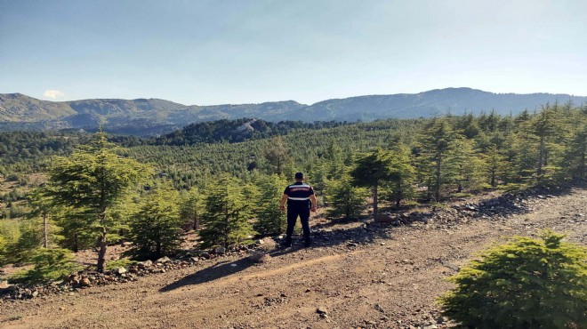 Valilik duyurdu: Ege'nin akciğerlerine giriş yasaklandı!